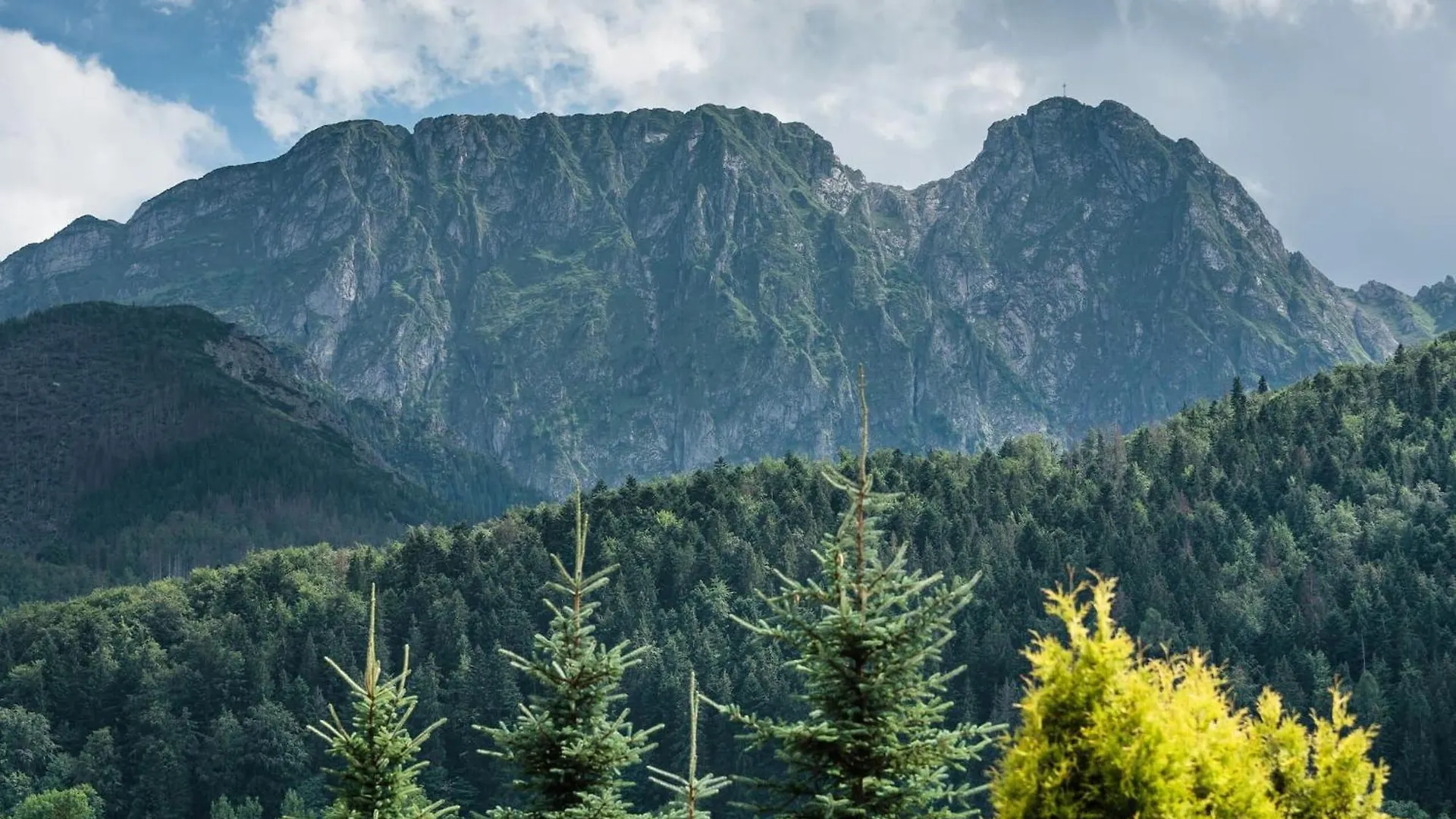Rent Like Home - Skibowki Zakopane Polen